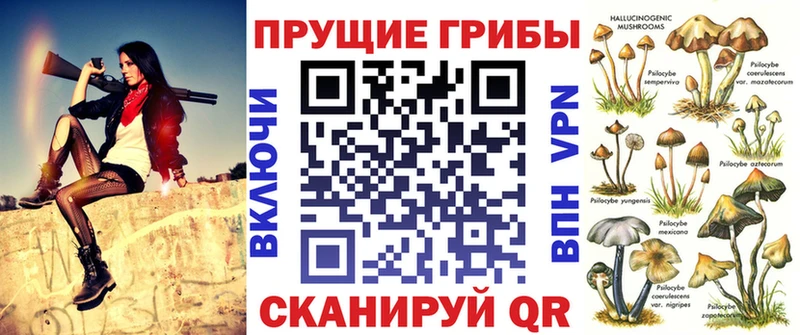 Галлюциногенные грибы Psilocybe  Куса 